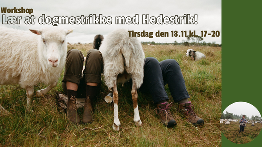Workshop: Lær at dogmestrikke med Hedestrik!